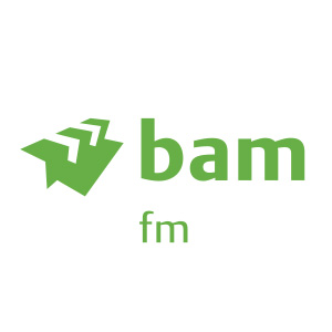 bam construction ltd logo