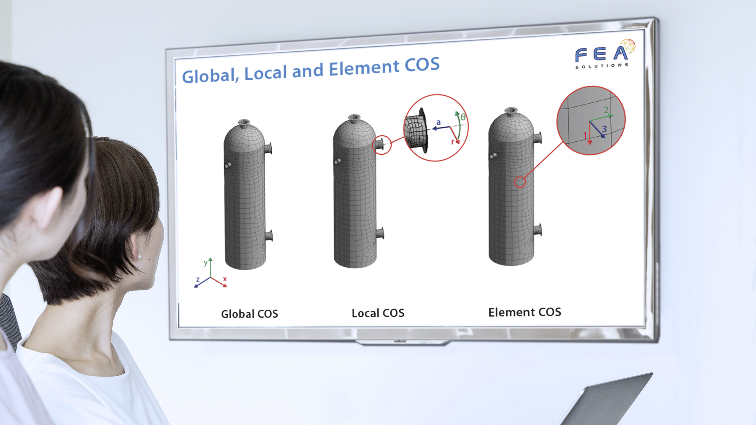 global local and element COS graphic